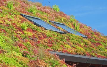 Blaenau Ffestiniog living roof systems