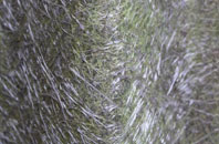 Blaenau Ffestiniog fibreglass roof work